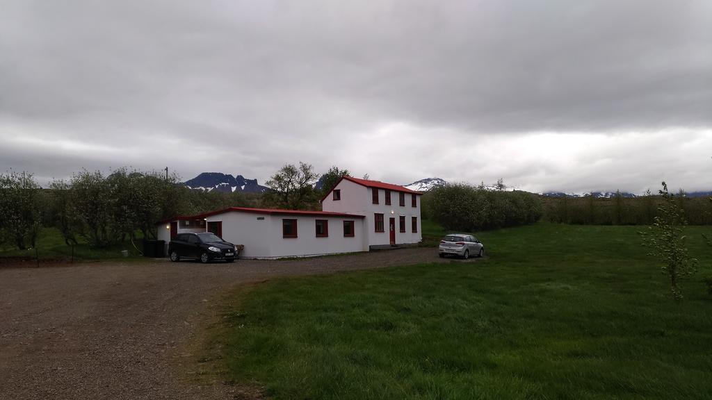 Fossardalur Guesthouse Djúpivogur Esterno foto