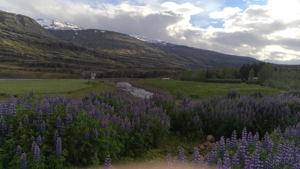 Fossardalur Guesthouse Djúpivogur Esterno foto