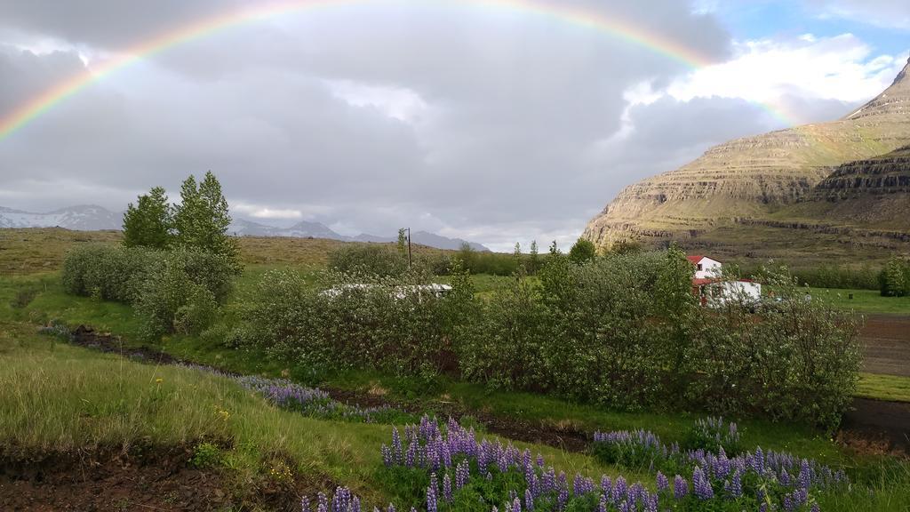 Fossardalur Guesthouse Djúpivogur Esterno foto